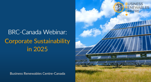 Corporate sustainability in 2025 screen cap